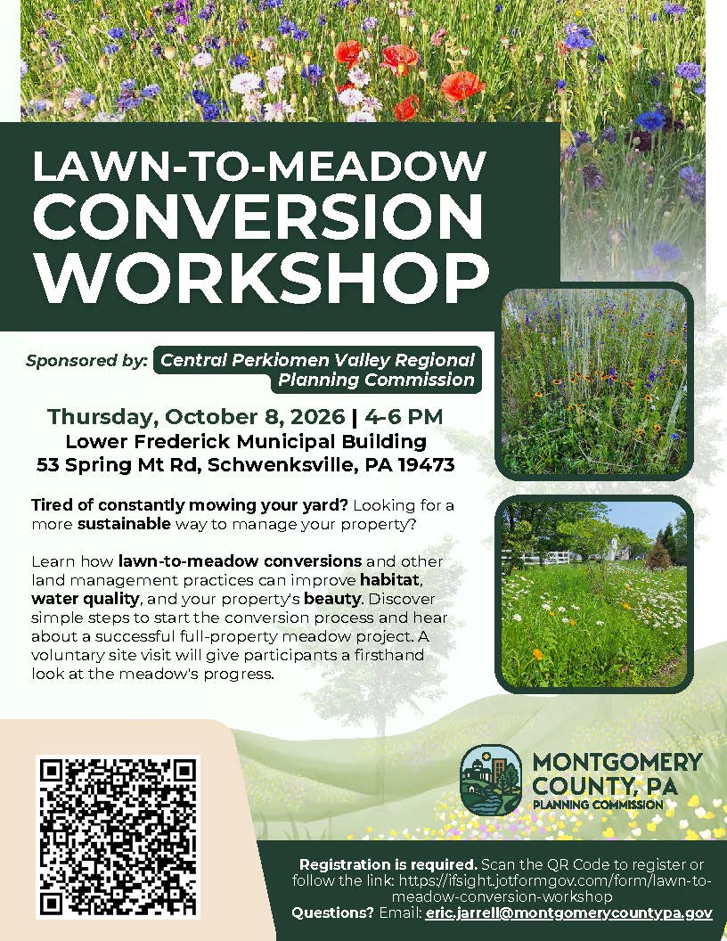 Lawn to Meadow Conversion Workshop