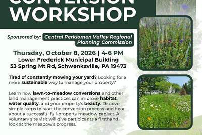 Lawn to Meadow Conversion Workshop