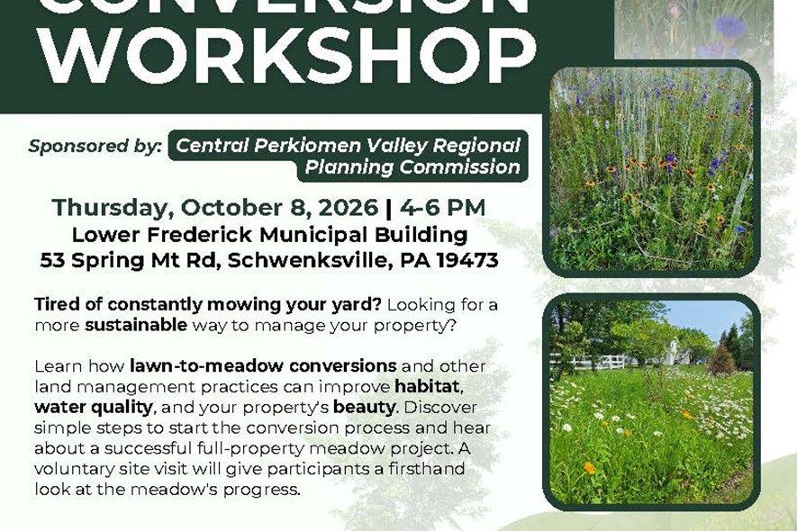 Lawn to Meadow Conversion Workshop